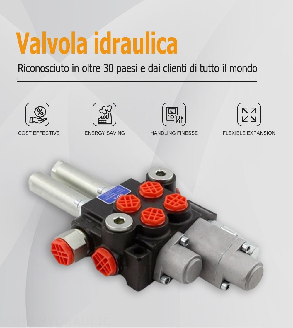 flottante P40 Cavo 2 Spool Valvola direzionale monoblocco